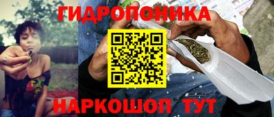 молекула духа Ливны