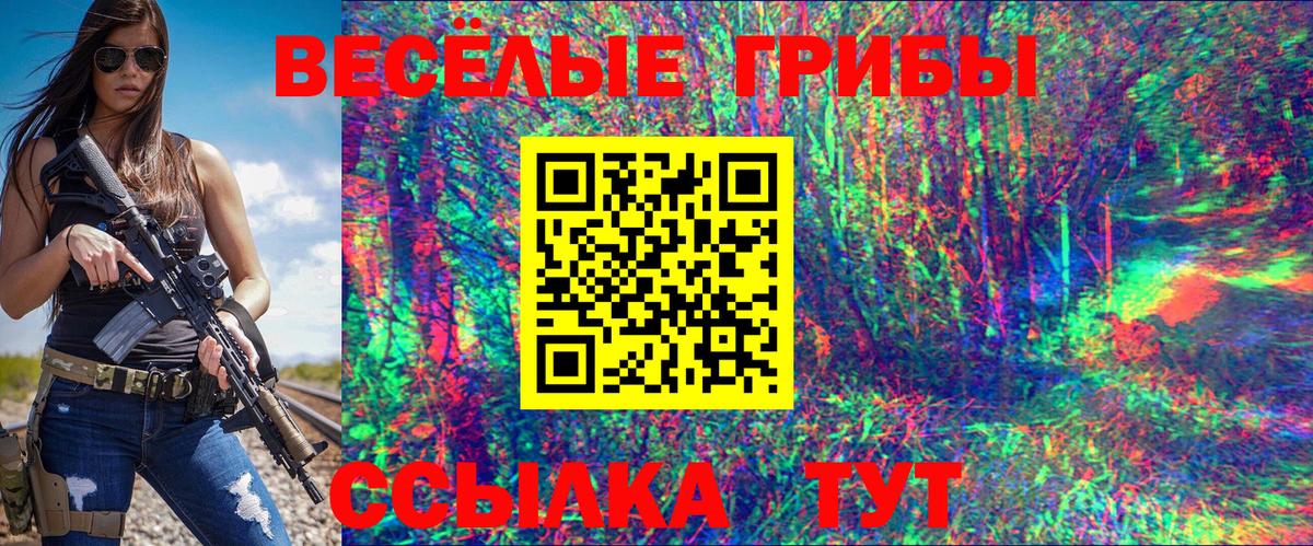Псилоцибиновые грибы Psilocybine cubensis  Псилоцибиновые грибы прущие грибы  Дербент  Вход с VPN 