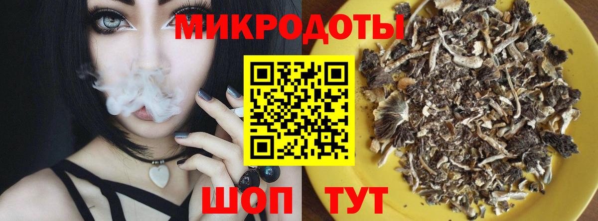 Псилоцибиновые грибы мухоморы Дербент